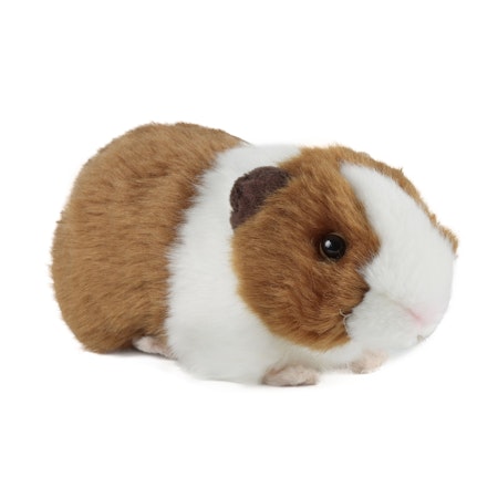 Keycraft Living nature- Brown Guinea Pig with Sound/ gosedjur
