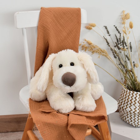 Doudou Et Compagnie- COOKIE DOG - 40 CM
