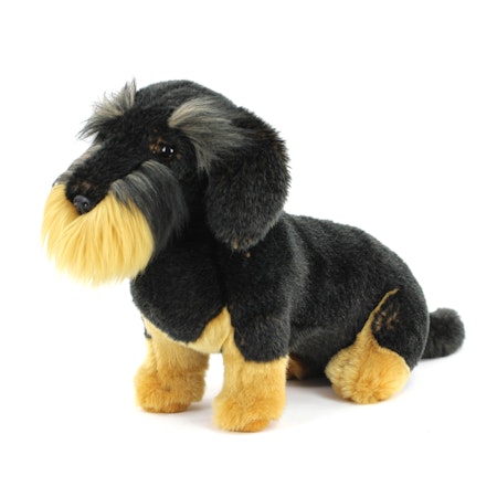 Living Nature- Wire Haired Dachshund