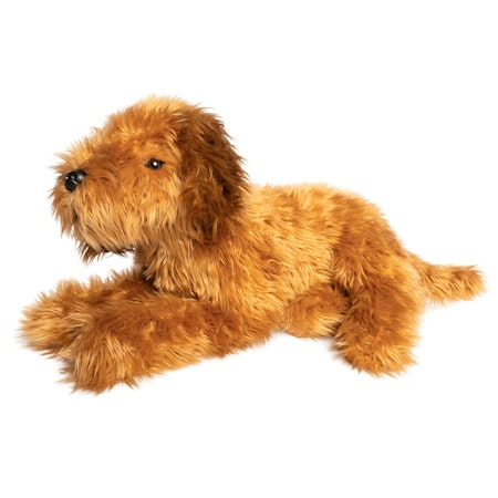 Living Nature-  Large Labradoodle Brow