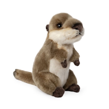 Living nature- Otter Cub