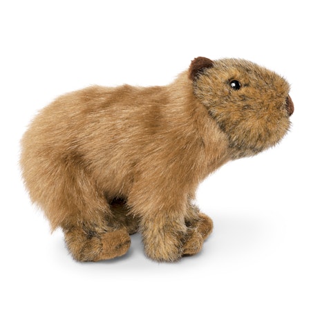 Living nature- Capybara