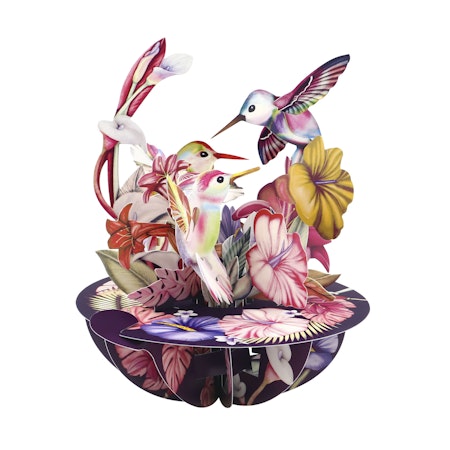 Santoro- Pirouettes Card - Hummingbirds (Blush)