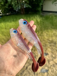 Limited Edition 90/100 "Violet Shiner"