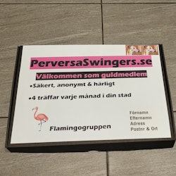 PerversaSwingers.se - Stor kartong!