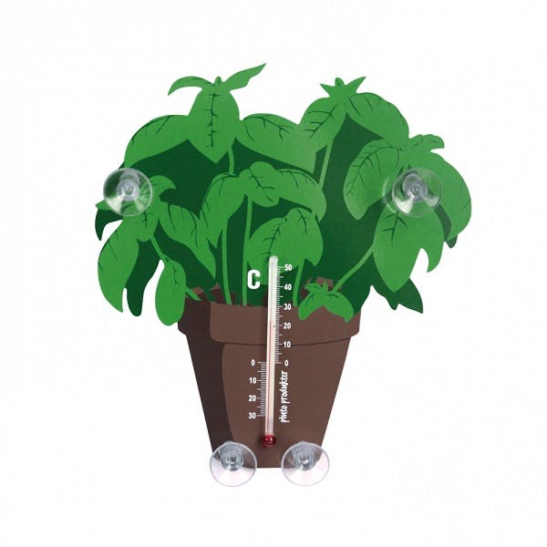 Termometer Plante