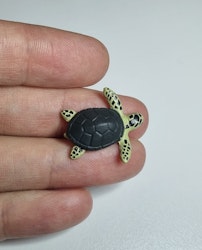 Kylskåpsmagnet Sköldpadda, miniatyr, minidjur med magnet