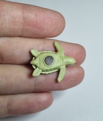 Kylskåpsmagnet Sköldpadda, miniatyr, minidjur med magnet