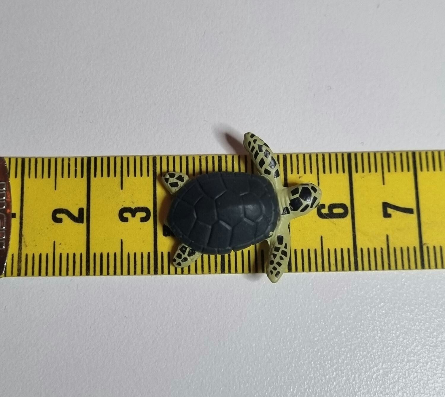 Kylskåpsmagnet Sköldpadda, miniatyr, minidjur med magnet