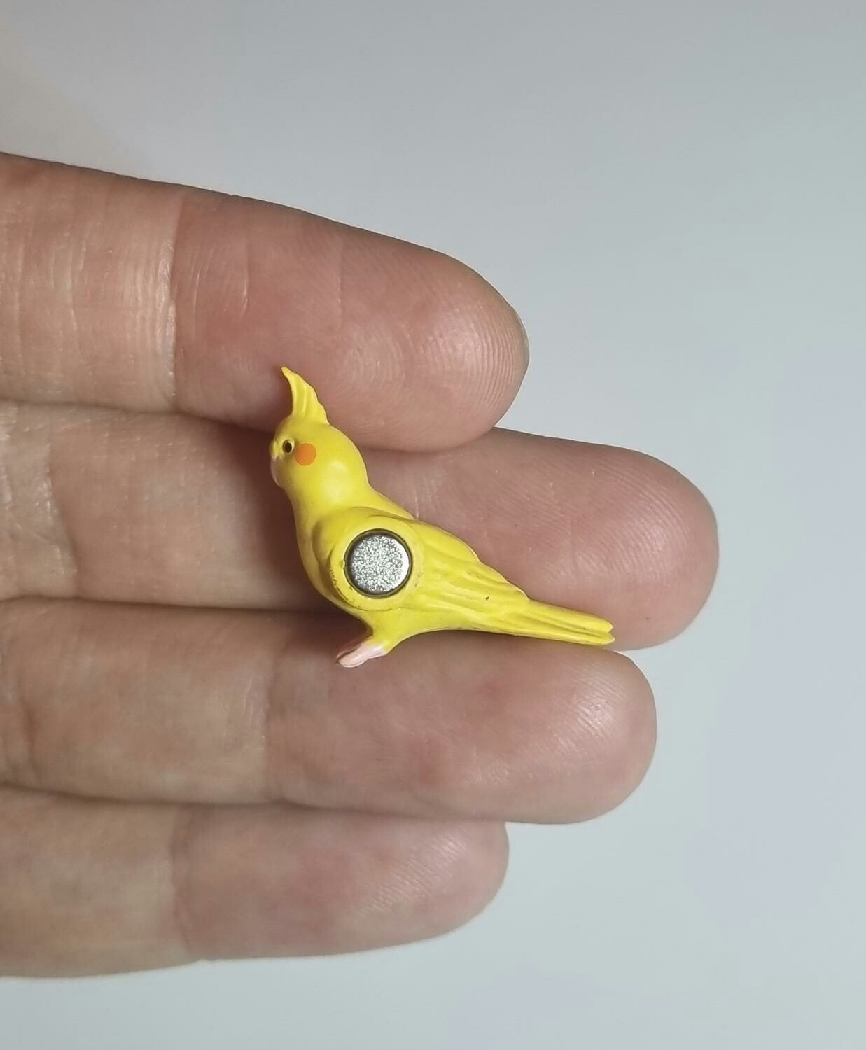 Kylskåpsmagnet Fågel, miniatyr, minidjur med magnet