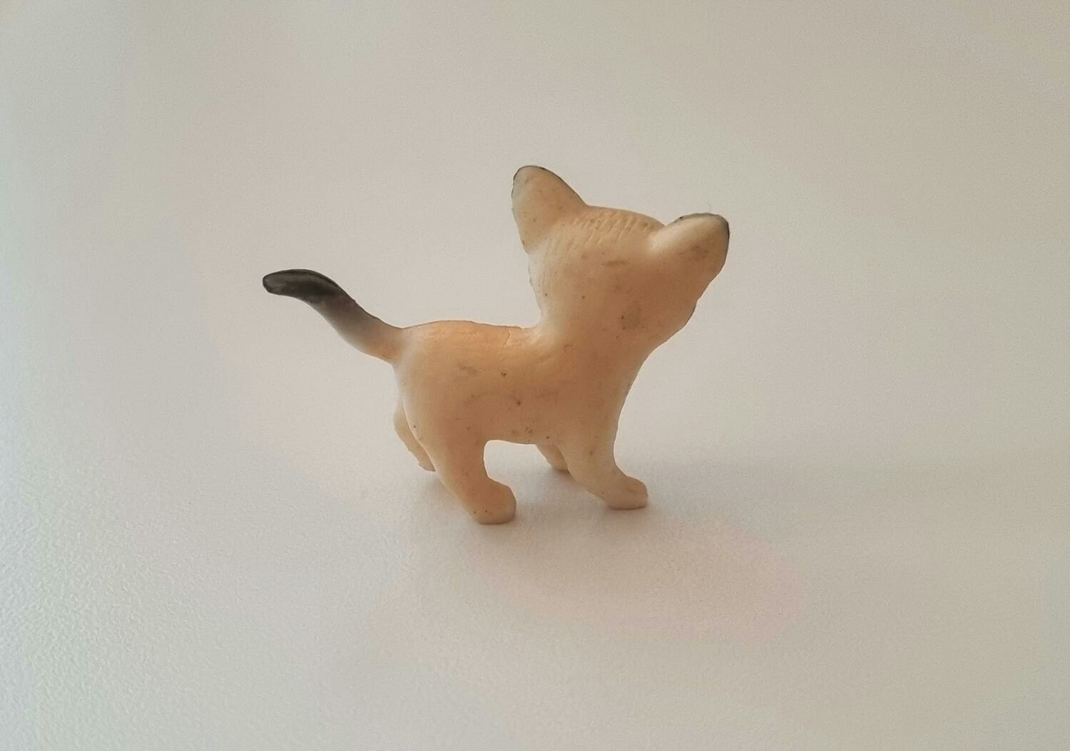 Hund miniatyr, miniatyrhund, minihund (variant 16)