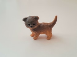 Hund miniatyr, miniatyrhund, minihund (variant 13)