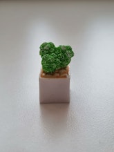 Handmålad kaktus i kruka, miniatyr, minikaktus (2,3 cm hög)