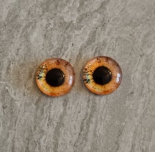 2 st drakögon kattögon i glas, glasinfattningar, cabochoner (12 mm)