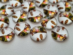 Flatbacks / cabochoner i glas Ugglor. Flatbacks uggla (10 st)