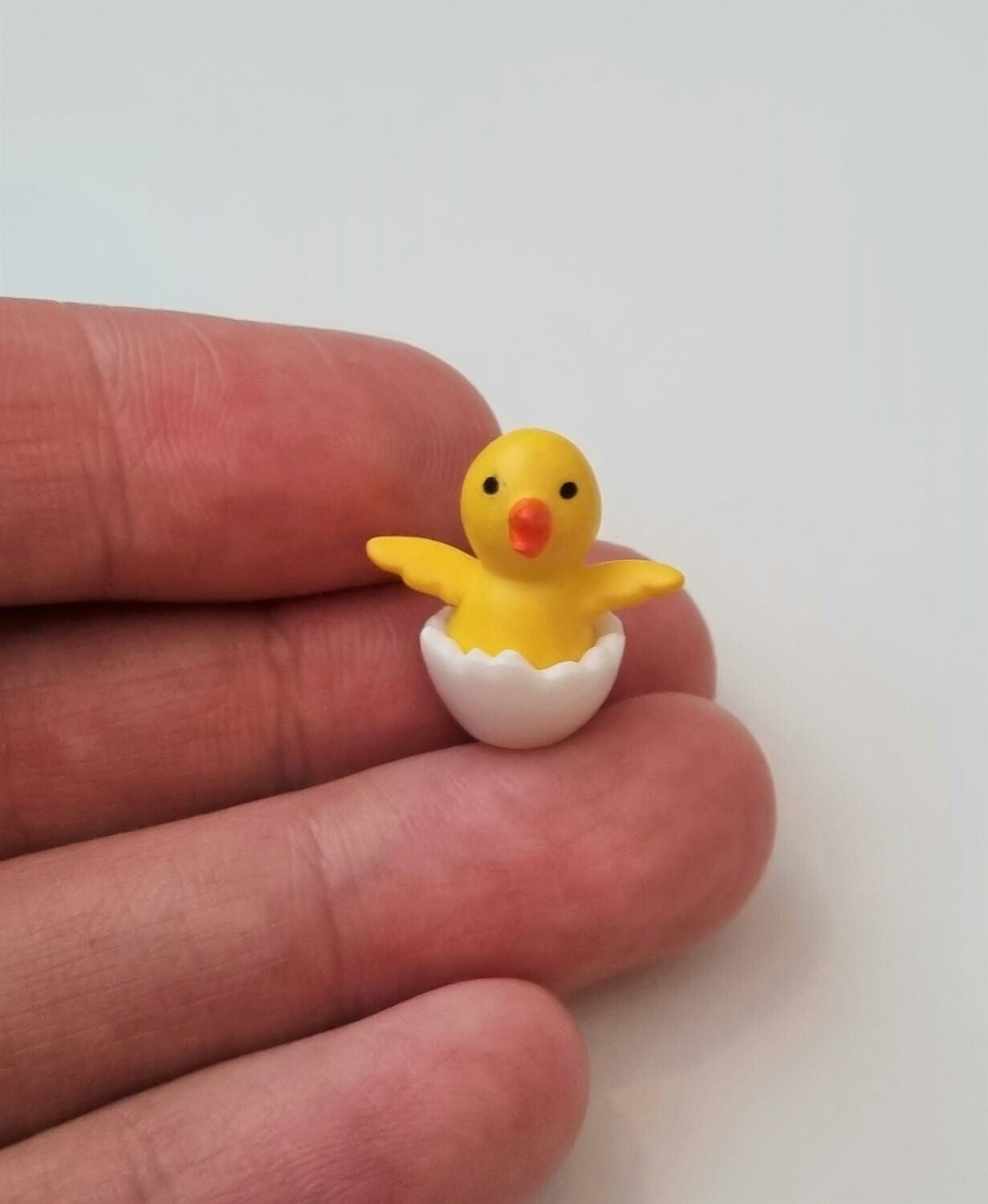 Kyckling, minikyckling, miniatyrkyckling i äggskal