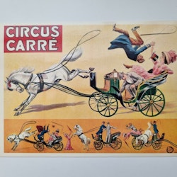 Vykort - Circus Carré