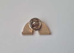 Pin, Färgglad regnbåge