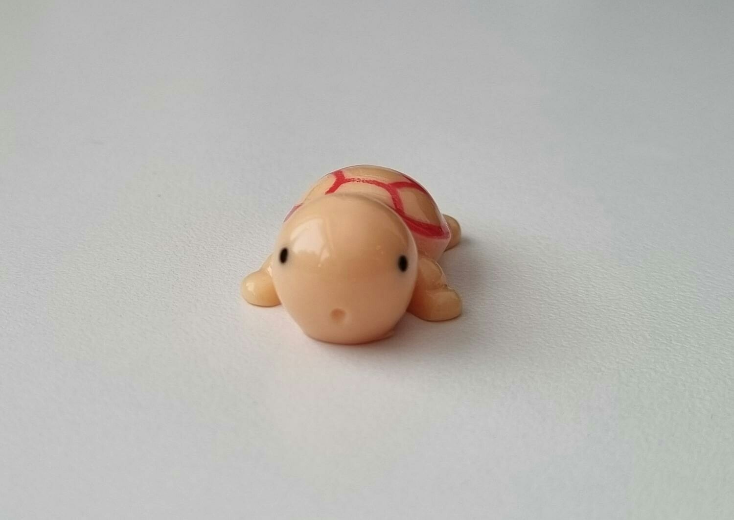 Sköldpadda, minisköldpadda / miniatyr