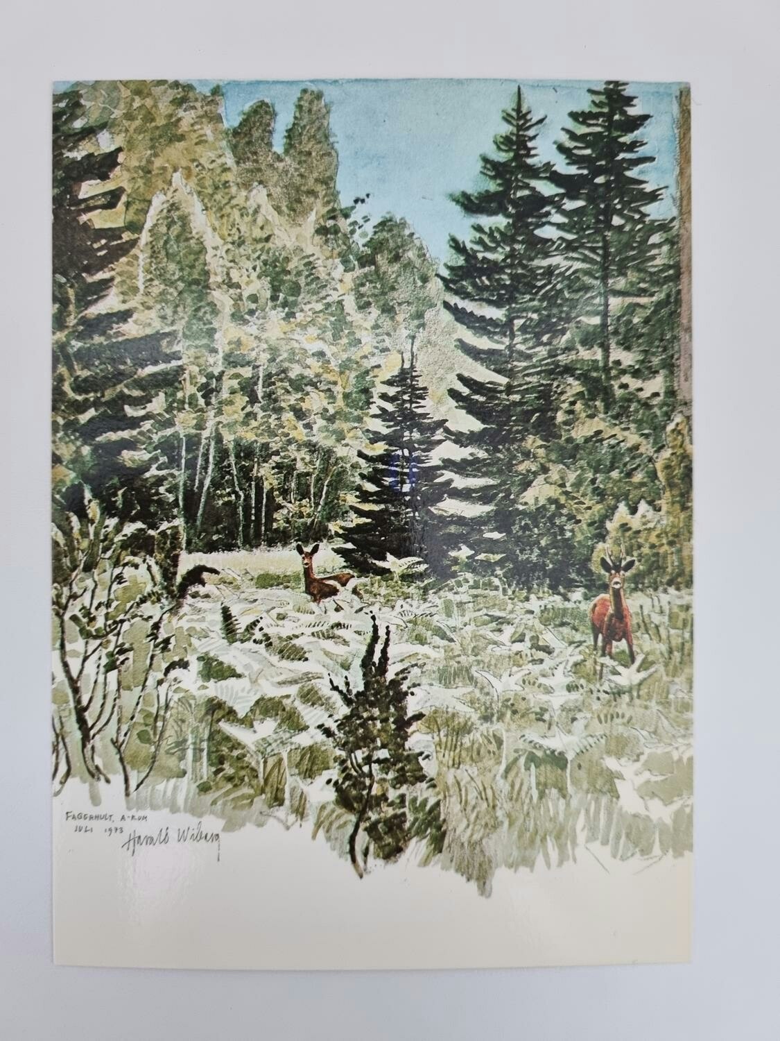 Vykort - Harald Wiberg, Rådjur