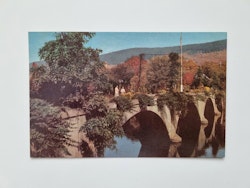 Äldre vykort BRIDGE OF FLOWERS, SHELBURNE FALLS MASS.