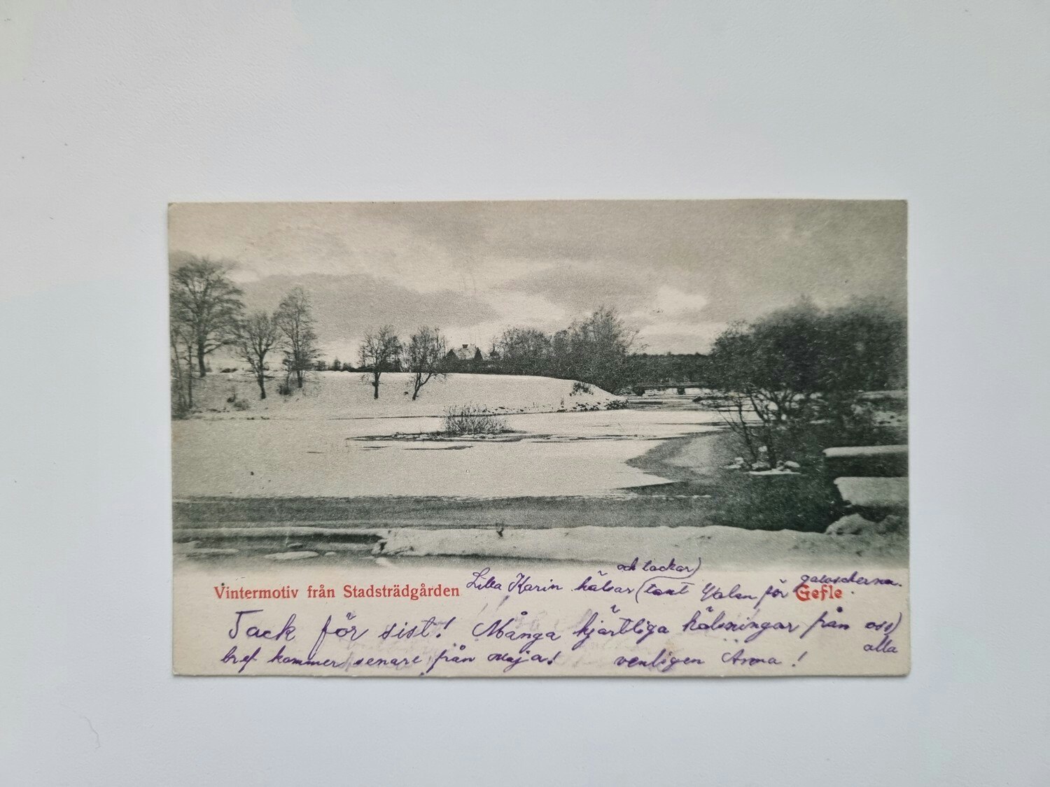 Vykort Vintermotiv från Stadsträdgården, Gefle 1902