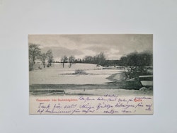 Vykort Vintermotiv från Stadsträdgården, Gefle 1902