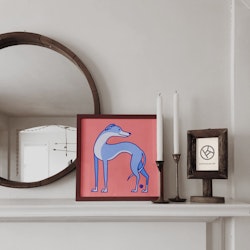 Whippet
