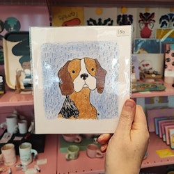Beagle