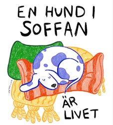En hund i soffan är livet