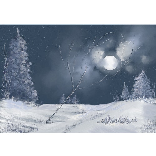 Vinterlandskap  (ferdig innrammet)