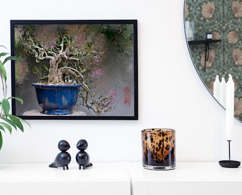 Bonsai  (ferdig innrammet)