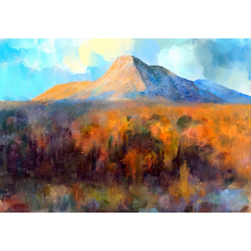 Fjell og Vidde