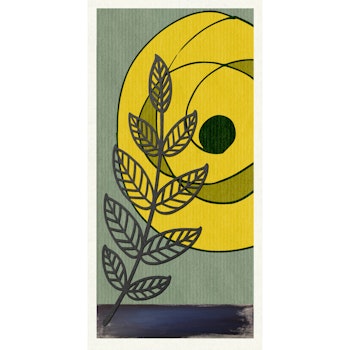 Sol