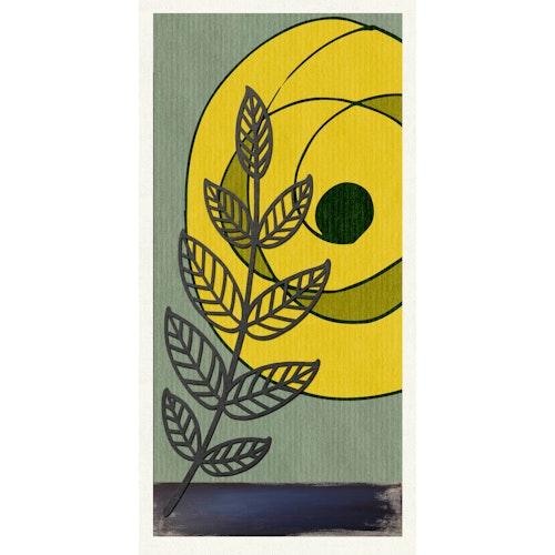 Sol