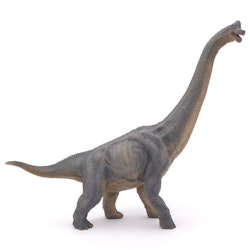 Brachiosaurus