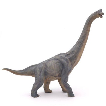 Brachiosaurus