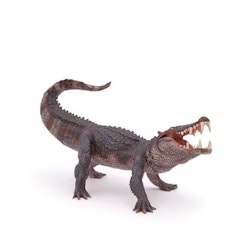 Kaprosuchus