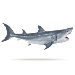 Megalodon