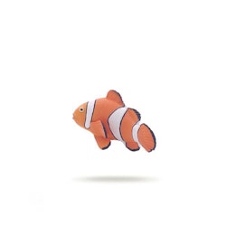 Clownfisk