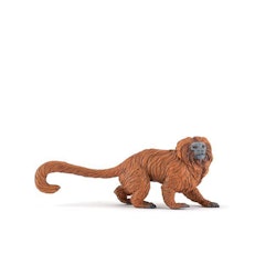 Lejontamarin