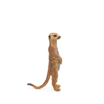 Stående surikat
