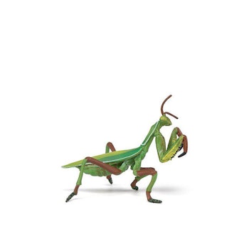 Bönsyrsa