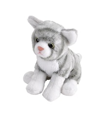 Grå Katt