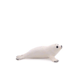 Sälkut