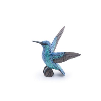 Kolibri