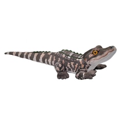 Alligatorunge
