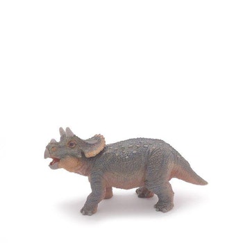 Triceratops Unge
