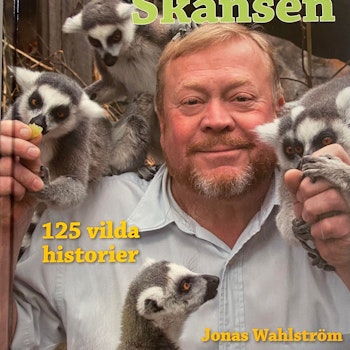 Det Hände På Skansen - 125 vilda historier
