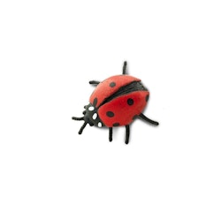 Mini Nyckelpiga